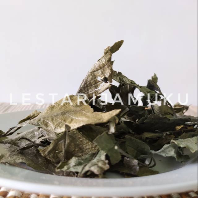 

DAUN KEJIBELING KERING SIMPLISIA
