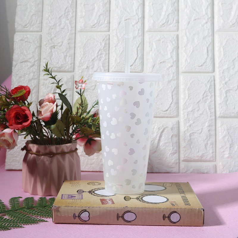 Cangkir Minuman Dingin Dengan Tutup Dan Sedotan Dapat Berubah Warna Ukuran 25oz Untuk Anak Dan Dewasa