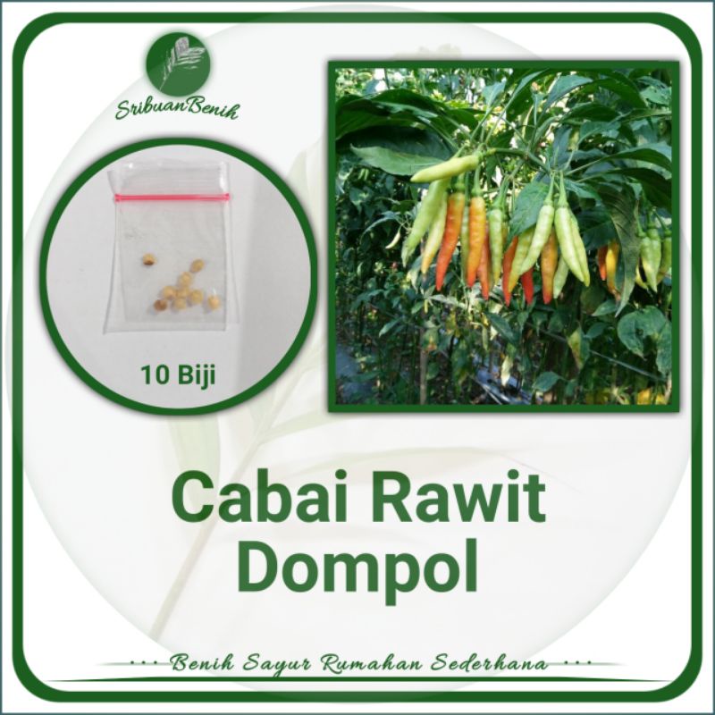 (Cabai Konsumsi) ± 10 Biji Benih Cabai Rawit Dompol Orion Benih Cabai Konsumsi
