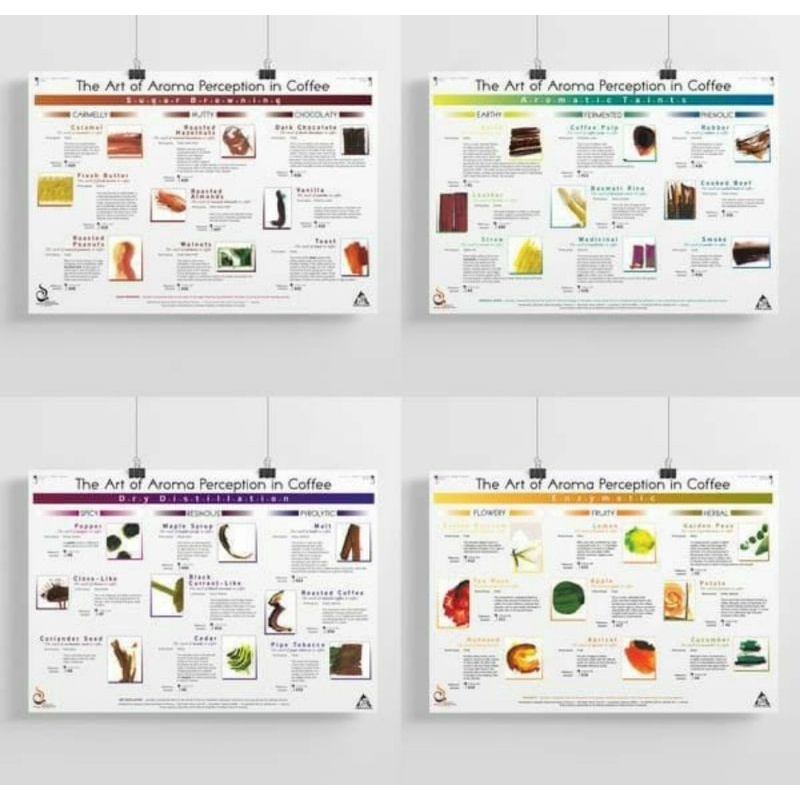 

SCA Art of Aroma Posters