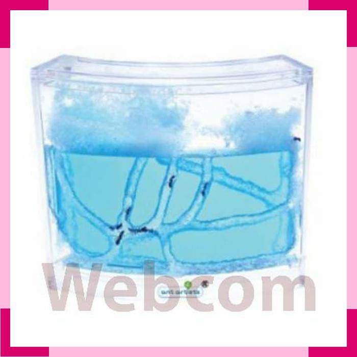 Aquarium Gel Untuk Ternak Semut Mainan Edukasi Akuarium Semut