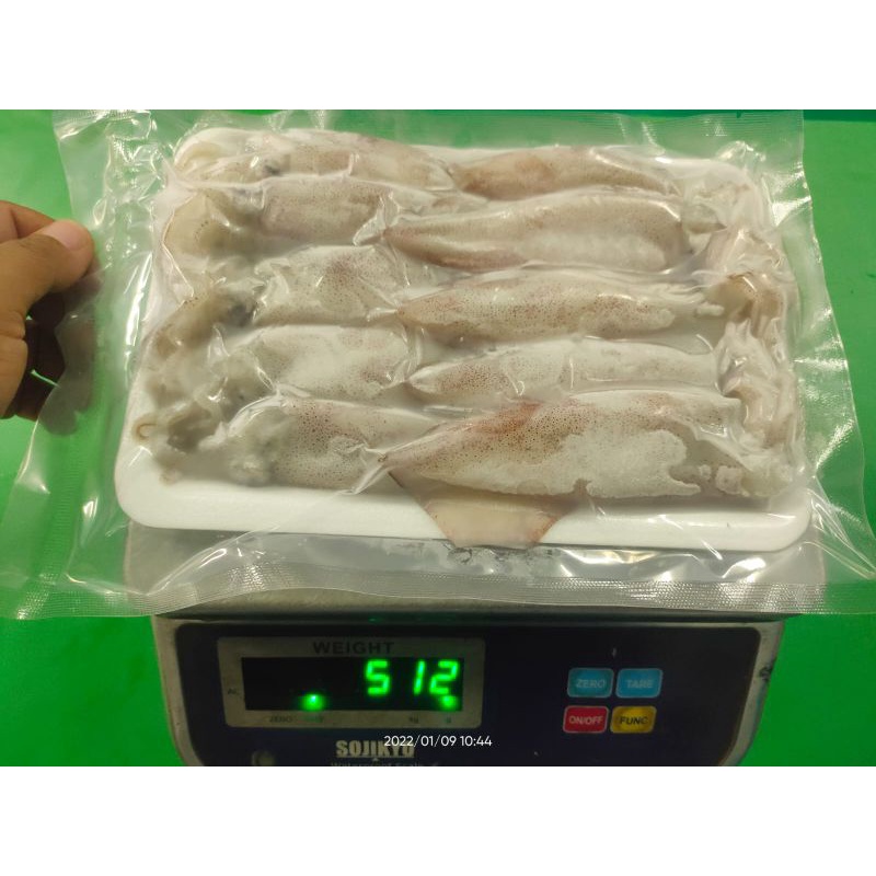 

Cumi Frozen size 8-10 cm