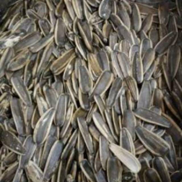 

[ 500gr ] Kwaci Super Biji Matahari Kuaci