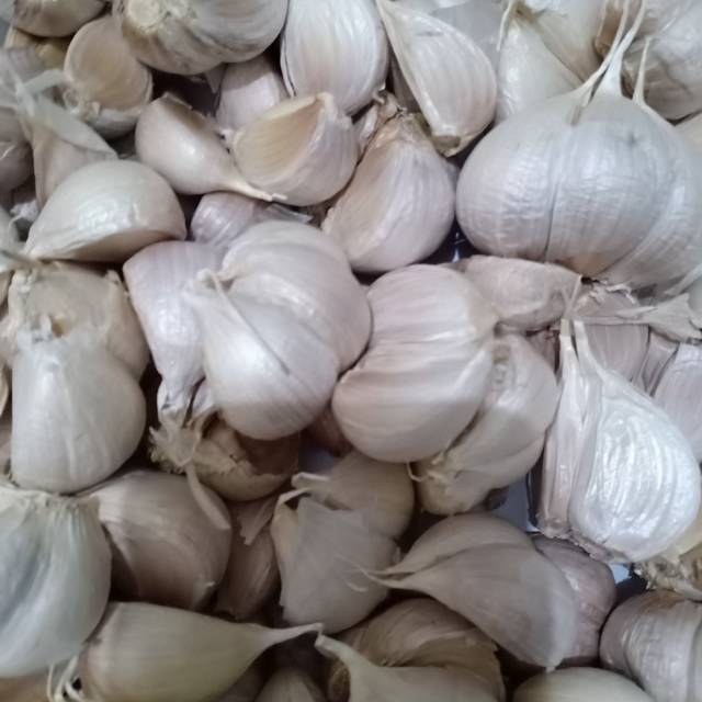 

Bawang Putih Kating 250gram