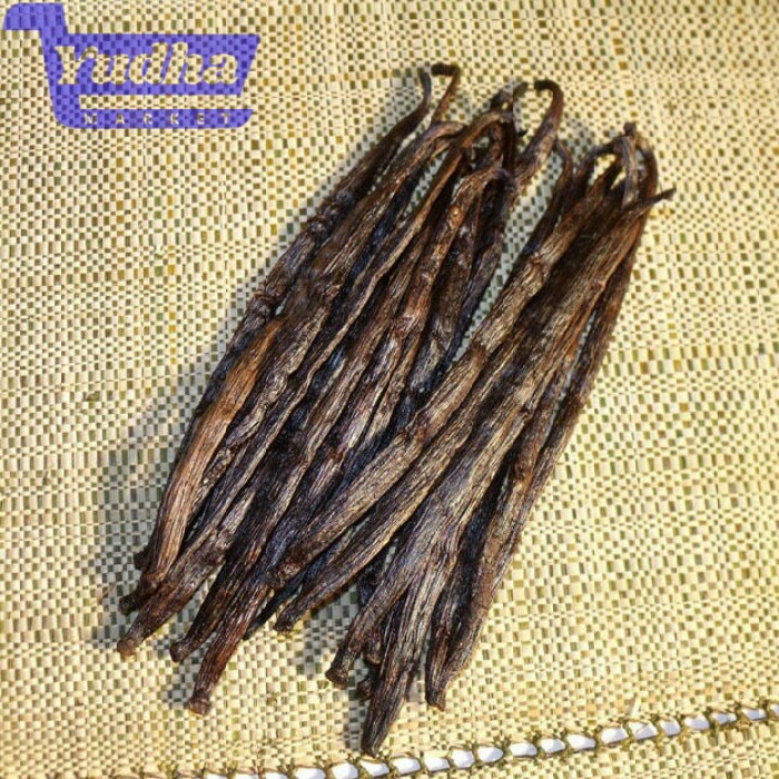 

bibit Stek Vanilli Vanilla Paneli Bean Siap Tanam