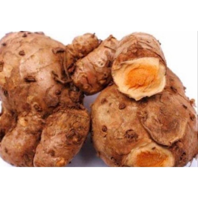 

TEMULAWAK SEGAR 1KG