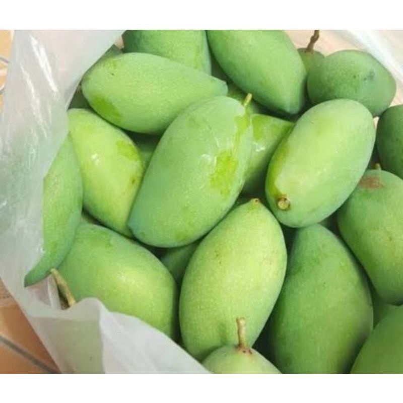 

MANGGA MUDA/ MANGGA RUJAK 1KG