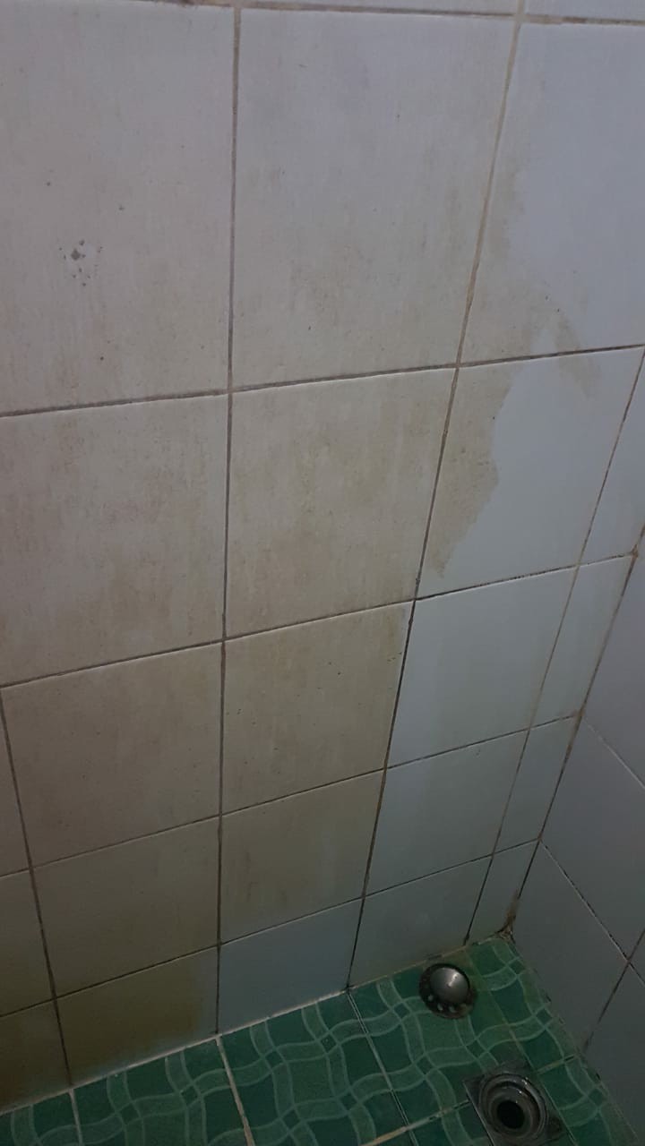 Idola Pembersih Porcelain Cleaner/pembersih Kerak Lantai Keramik Kamar Mandi