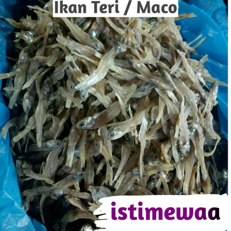 

Maco Ikan Teri Istimewaa