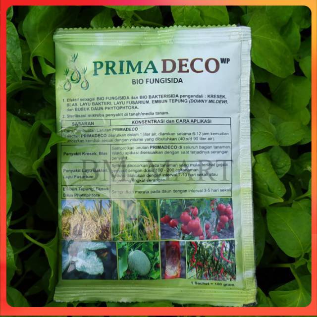 

PRIMA DECO