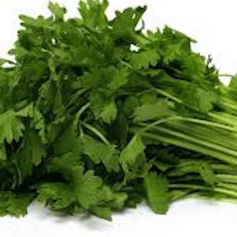 Seledri Lokal Organik / Organic Celery 200g