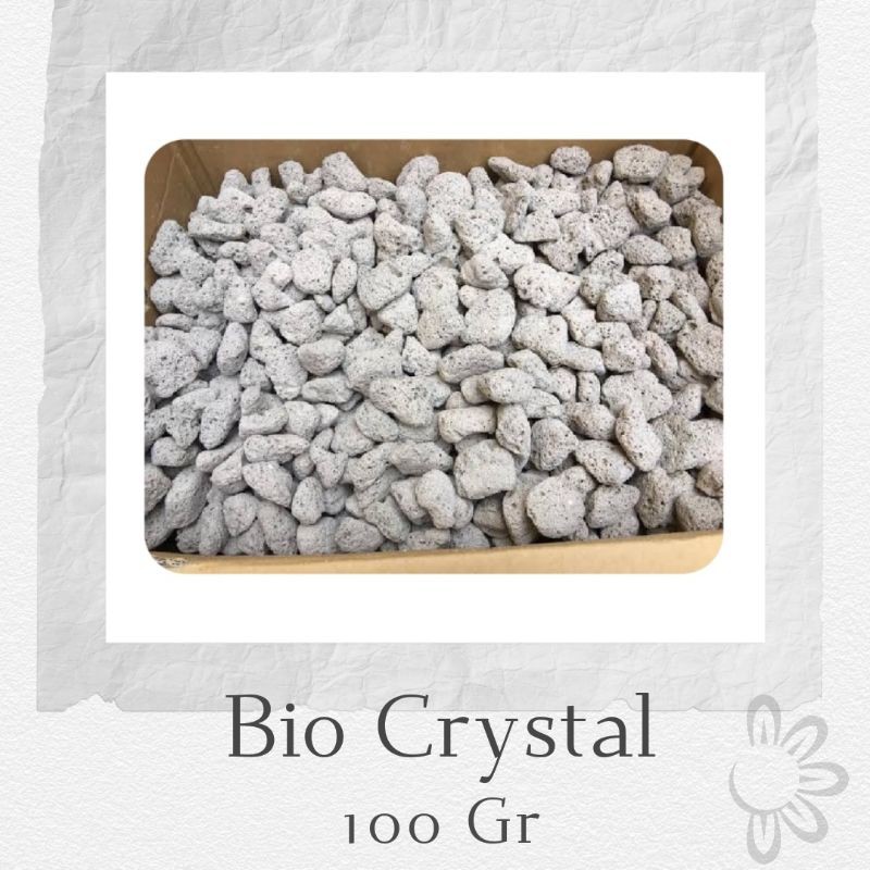 Bio Crystal Termurah