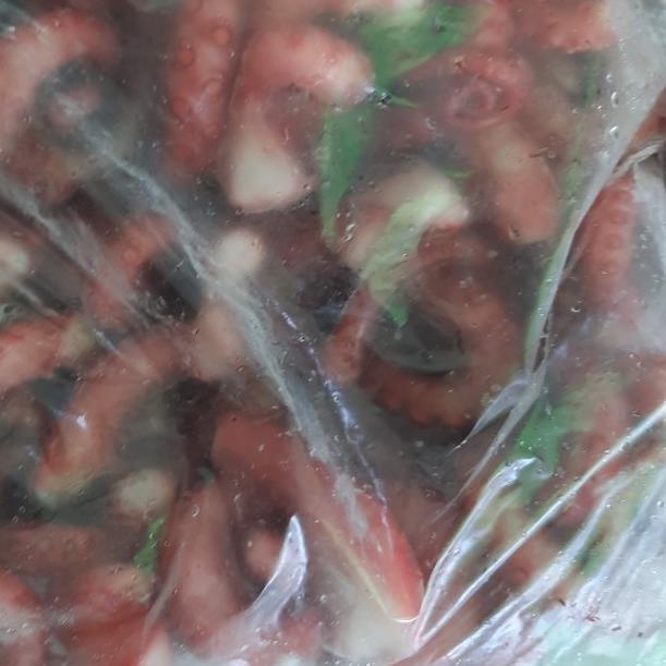 

Ω gurita potong campur mateng ☎