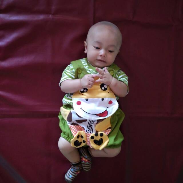 erwinapebriantiharahap