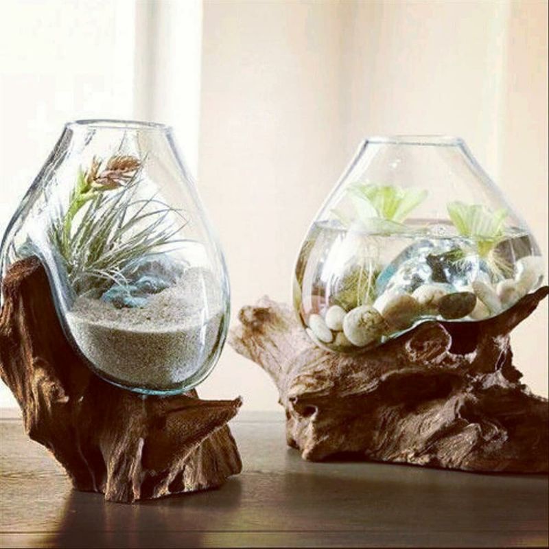 GLASSWOOD | AQUARIUM TIUP 25CM | AQUARIUM CUPANG | AQUARIUM TANAMAN AIR | AQUARIUM UNIK