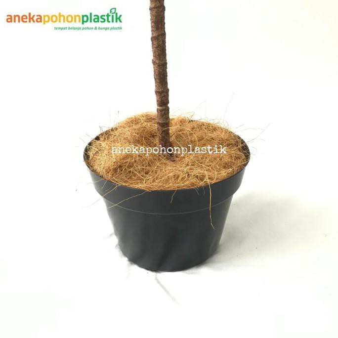 Pohon Ketapang Artificial Pohon Latex Pot Dasar Hitam Dekorasi