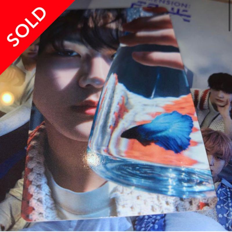 dimension senkou limited B pc jungwon ikan cupang (BOOKED)