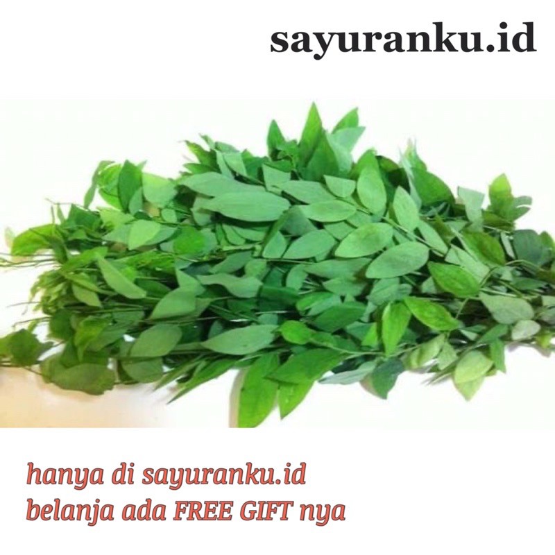 

daun katuk per ikat sayur segar sayuran fresh pasar murah pasar jakarta