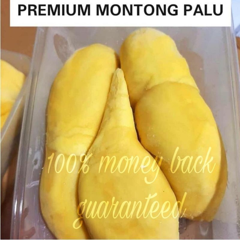 

Durian Premium Monthong Palu FROZEN Untuk AREA CIREBON ONLY