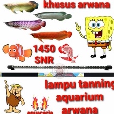 lampu tanning ikan arwana SNR 1450