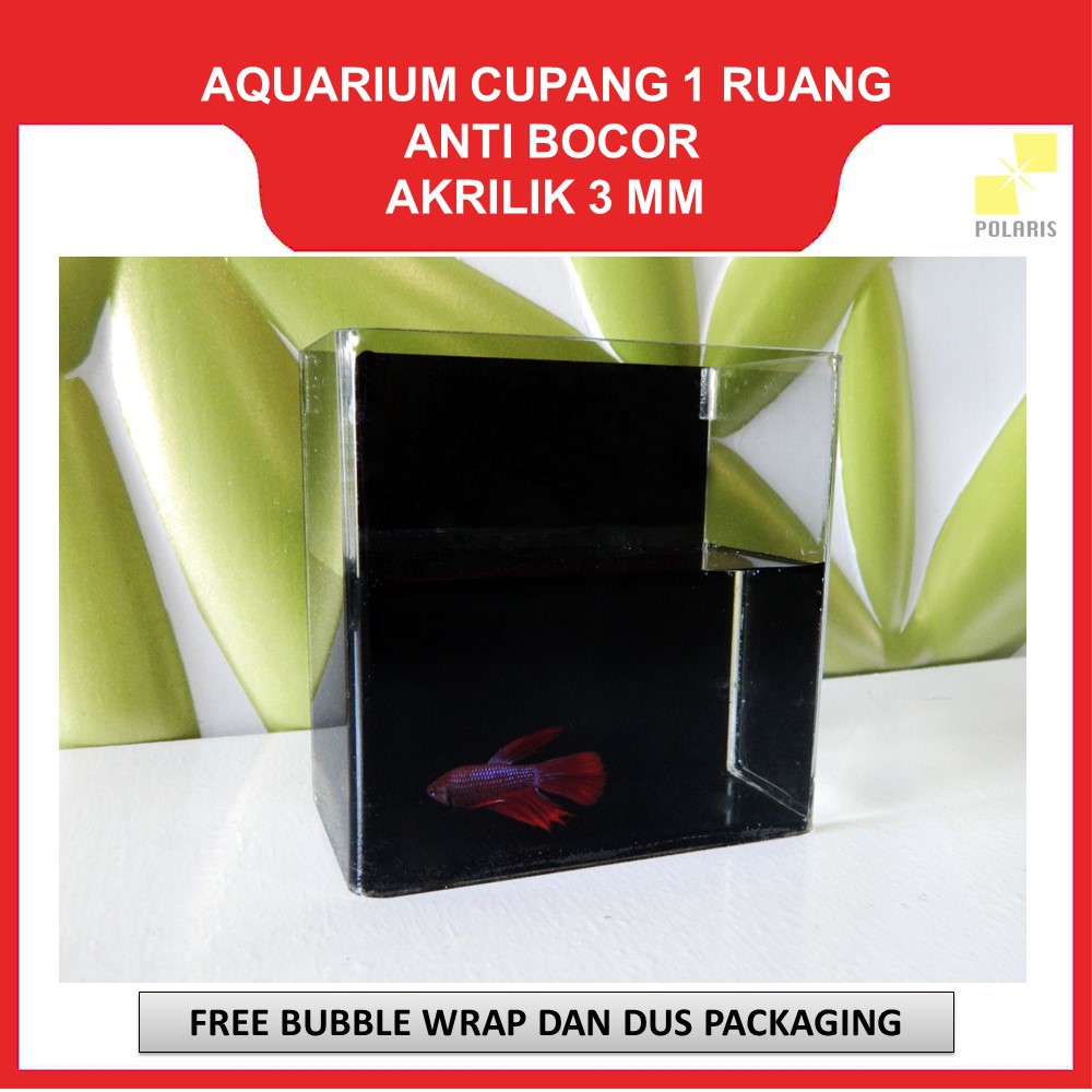 AKUARIUM IKAN CUPANG AKRILIK / AQUARIUM ACRYLIC IKAN HIAS / SOLITER IKAN CUPANG