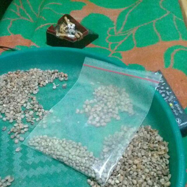 Plastik Klip Lengkap 10 Varian Ziplock | Harga Grosir | Plastik Tulang | Klip Plastik | Kemasan Klip