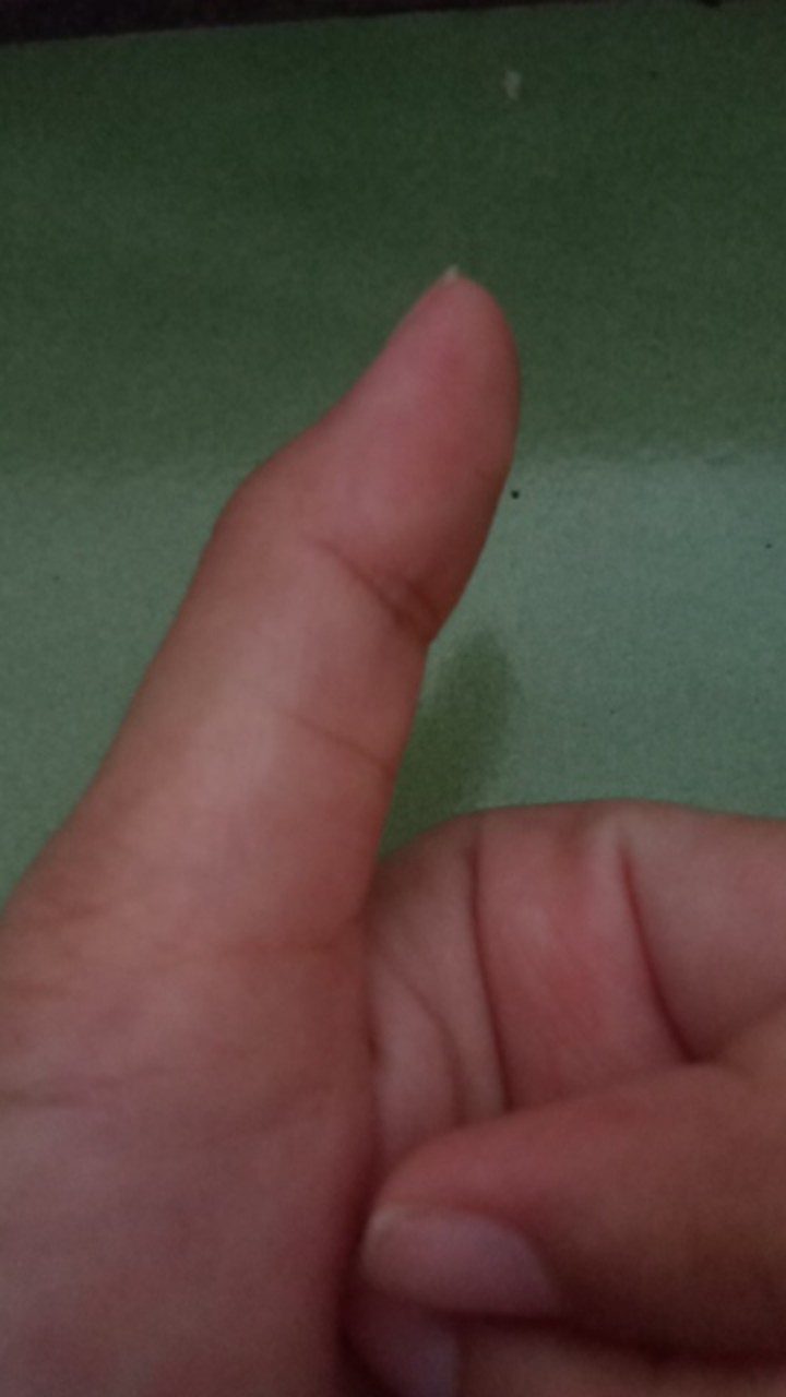 Anekagrosir | Kotak Aksesoris Bentuk Makaron - Box Aksesosir Serbaguna - Tempat Penyimpanan