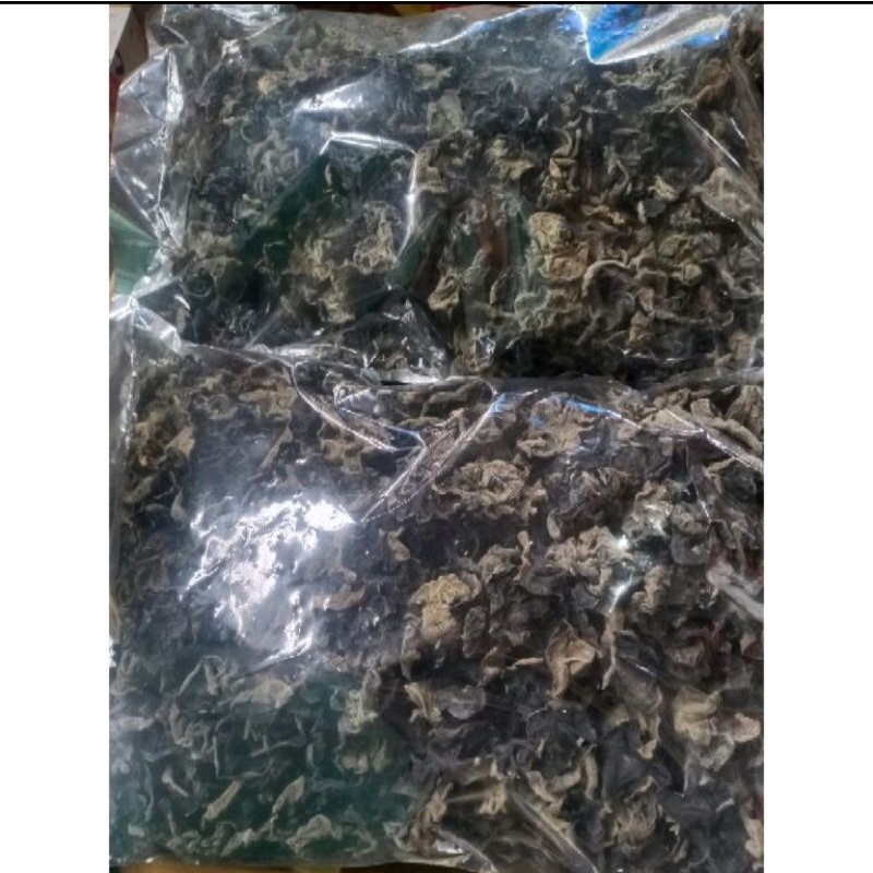 

Jamur kuping import/obokni 50 Gram