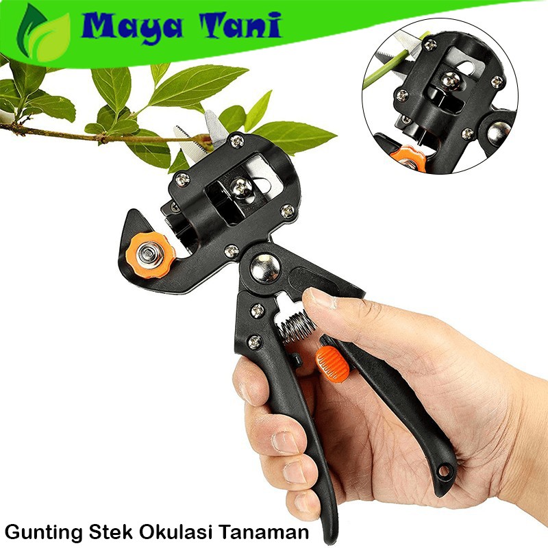 Gunting Stek Okulasi Tanaman Grafting Tools