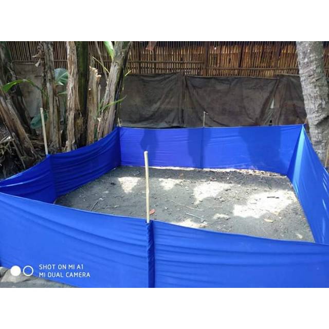 Geber KAIN 3 x 3 meter - keber kain tarung ayam