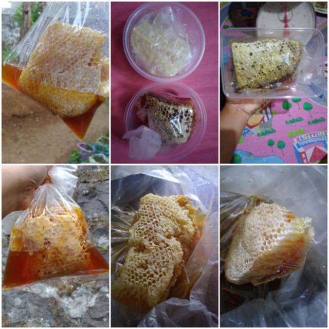 

Madu Sarang Asli 100 % original