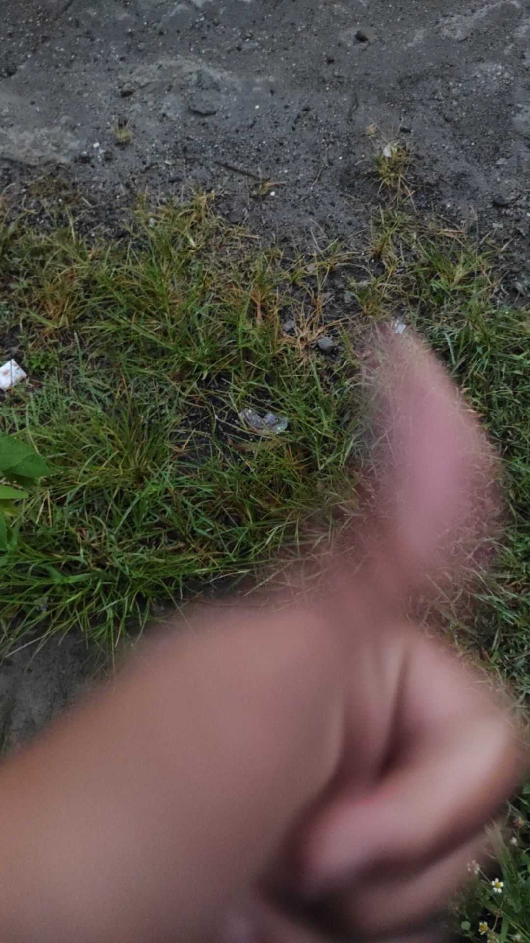 Gramoxon 1liter Untuk Membasmi Rumput