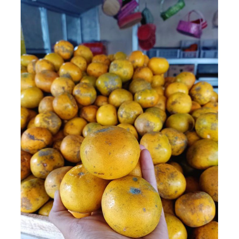 

jeruk medan