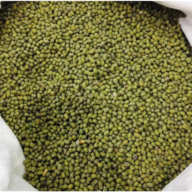 

Kacang hijau bahan bubur kacang