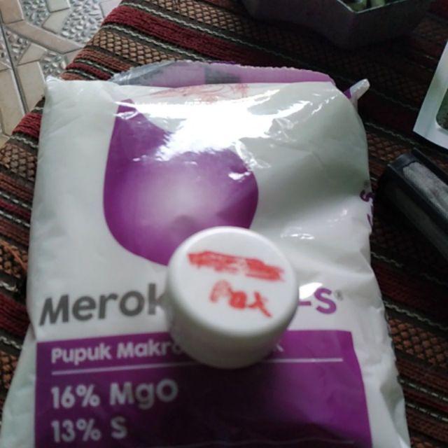 100pills Repack, Benih Selada Rex Rz Butterhead Lettuce, Rijk Zwaan