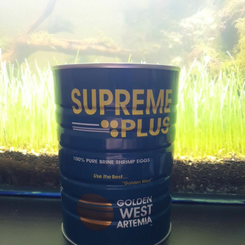 Artemia supreme plus 5GR golden west artemia original!!