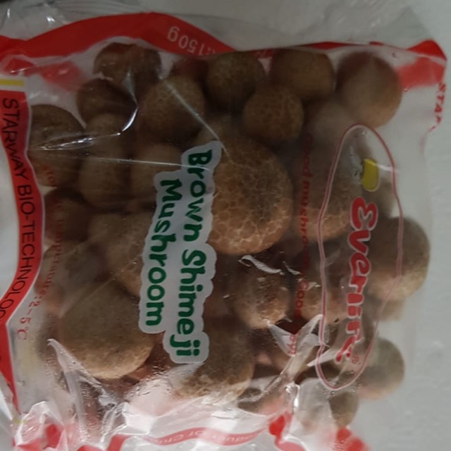 

Jamur Shimeji Coklat