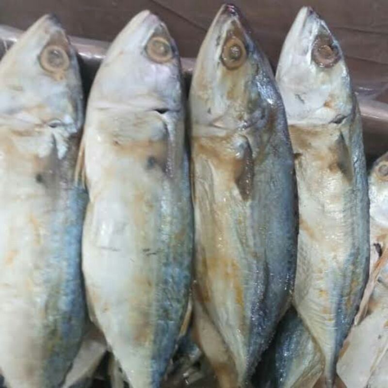 

asin peda banjar 250 gram