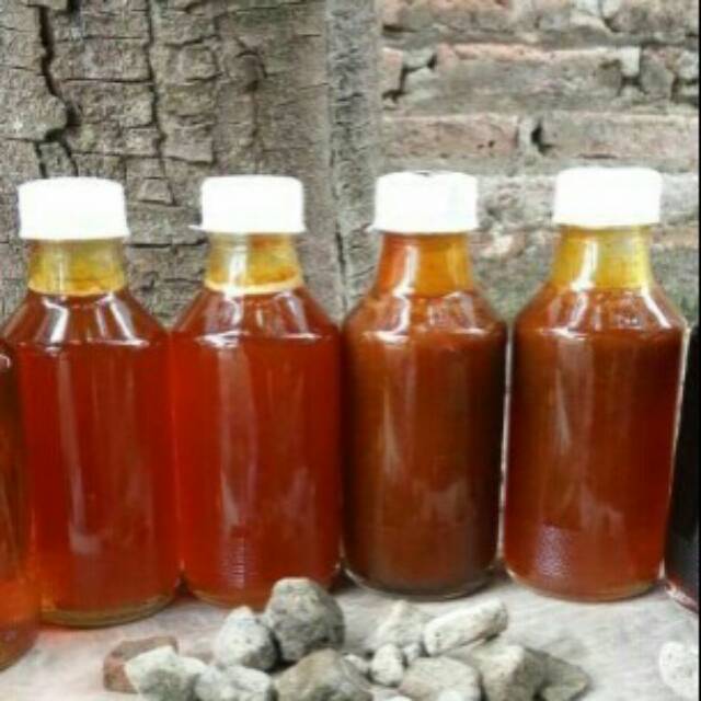 

Madu apis trigona( madu klanceng)