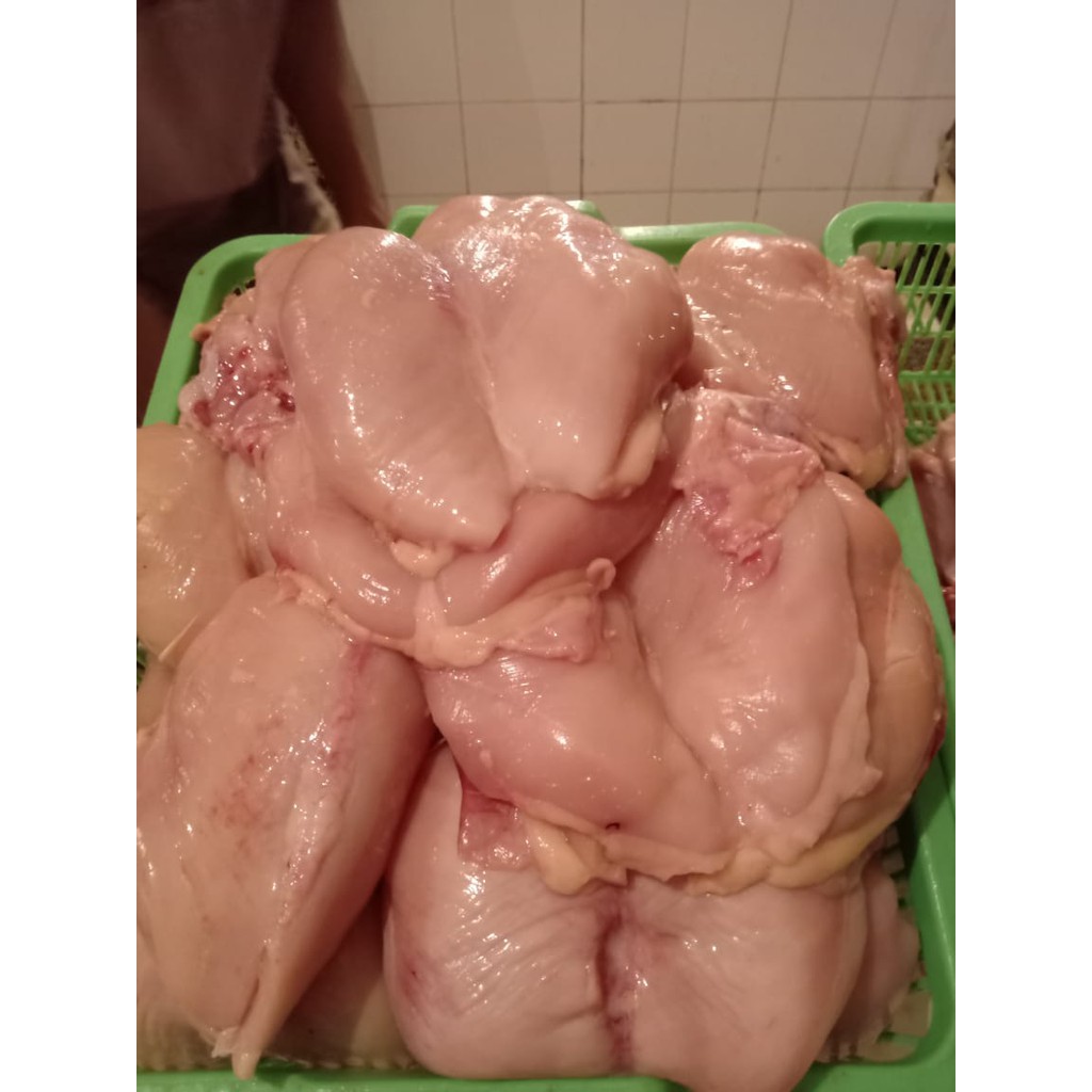 

Filet dada ayam boiler/negri frozen
