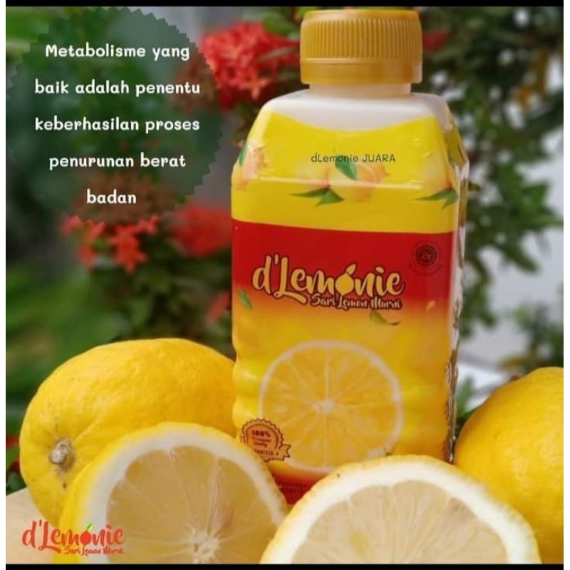 

Sari Lemon D'lemonie