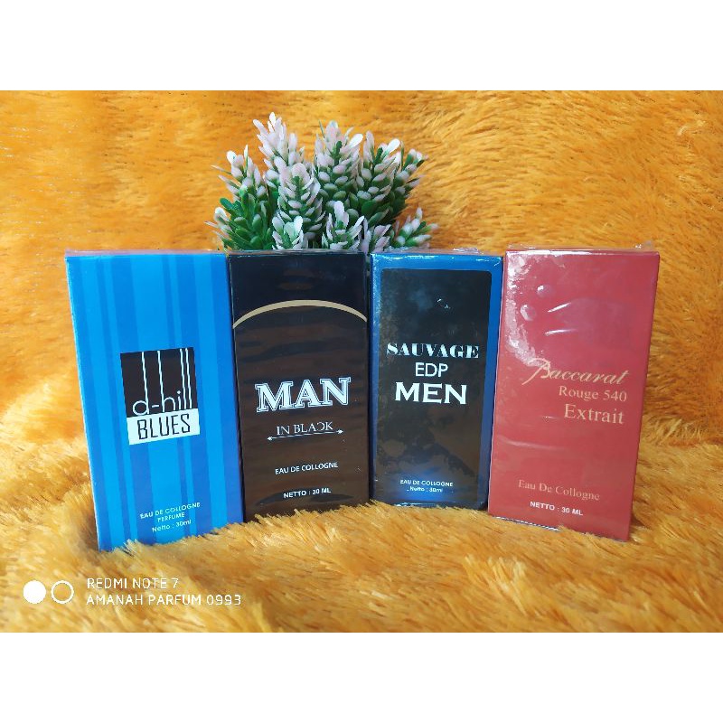 PARFUM PRIA BEST SELLER WANGI TAHAN LAMA 30 ML