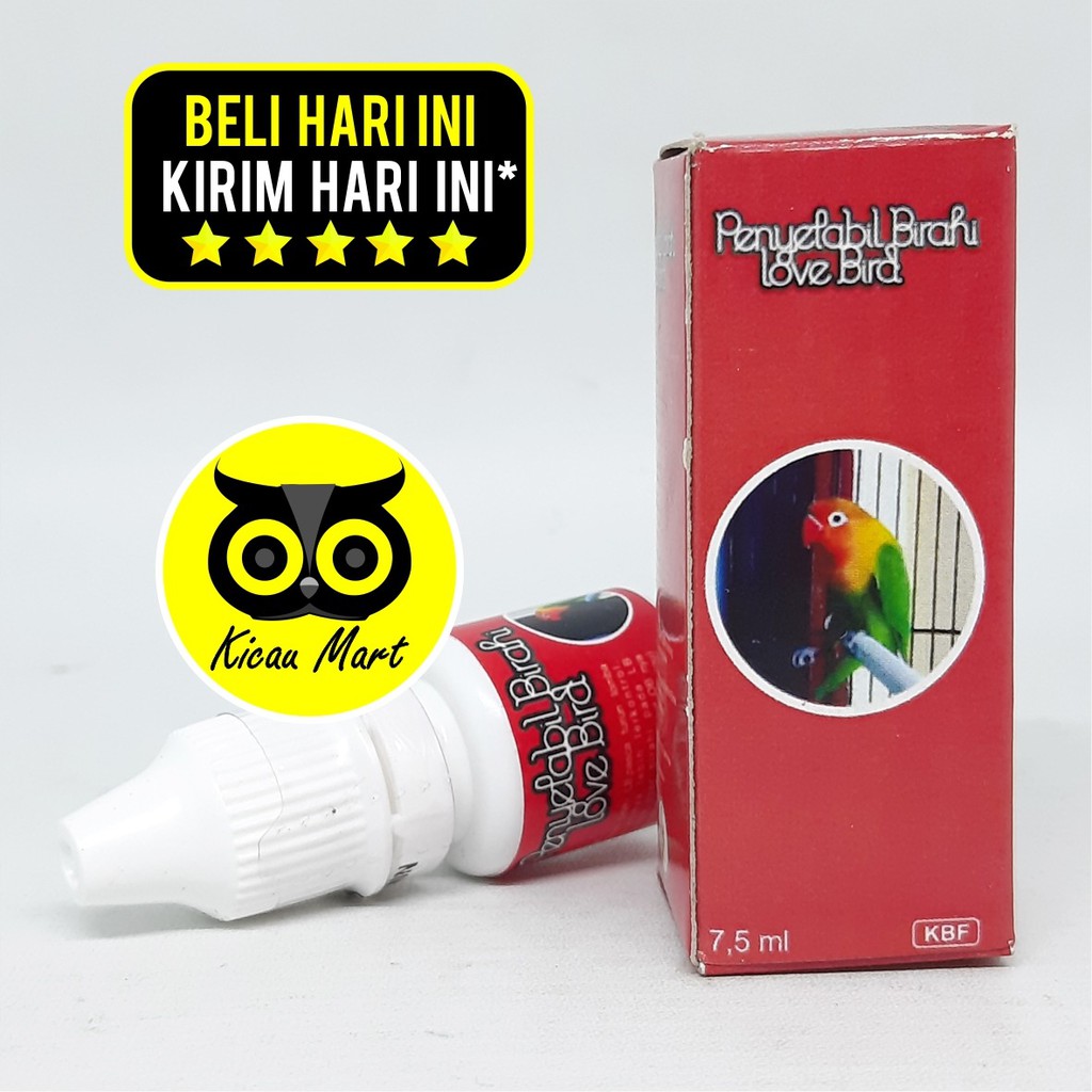 OBAT BURUNG PENYETABIL BIRAHI LOVEBIRD KURNIA BF OVER BIRAHI OB NGERUJI CABUT BULU GESTANG VBPBLBF