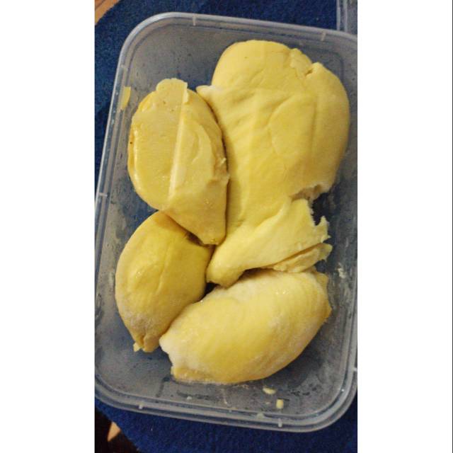 

Durian montong