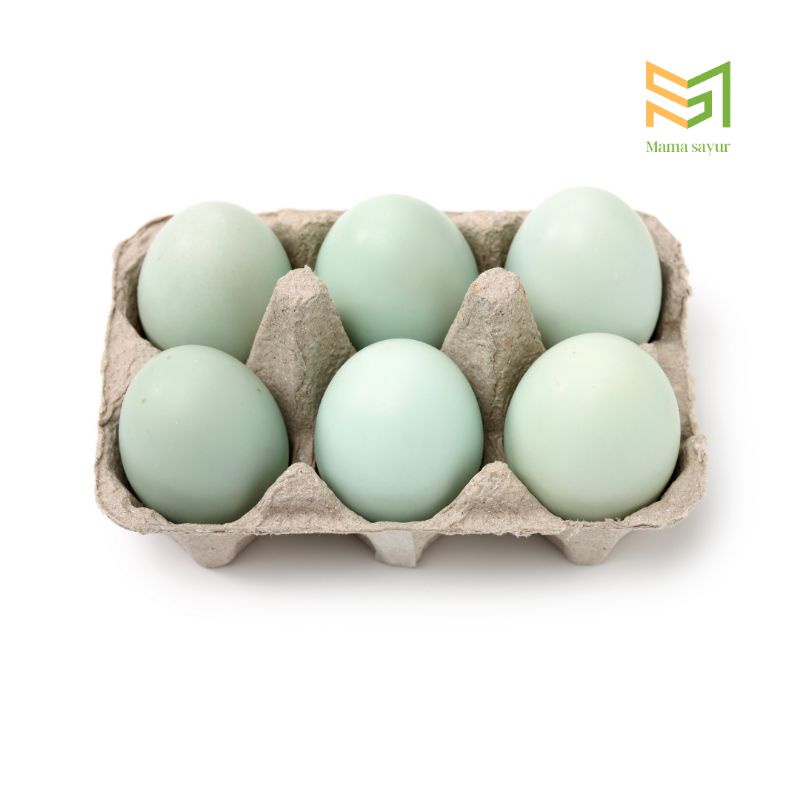 

Telur bebek fresh per butir