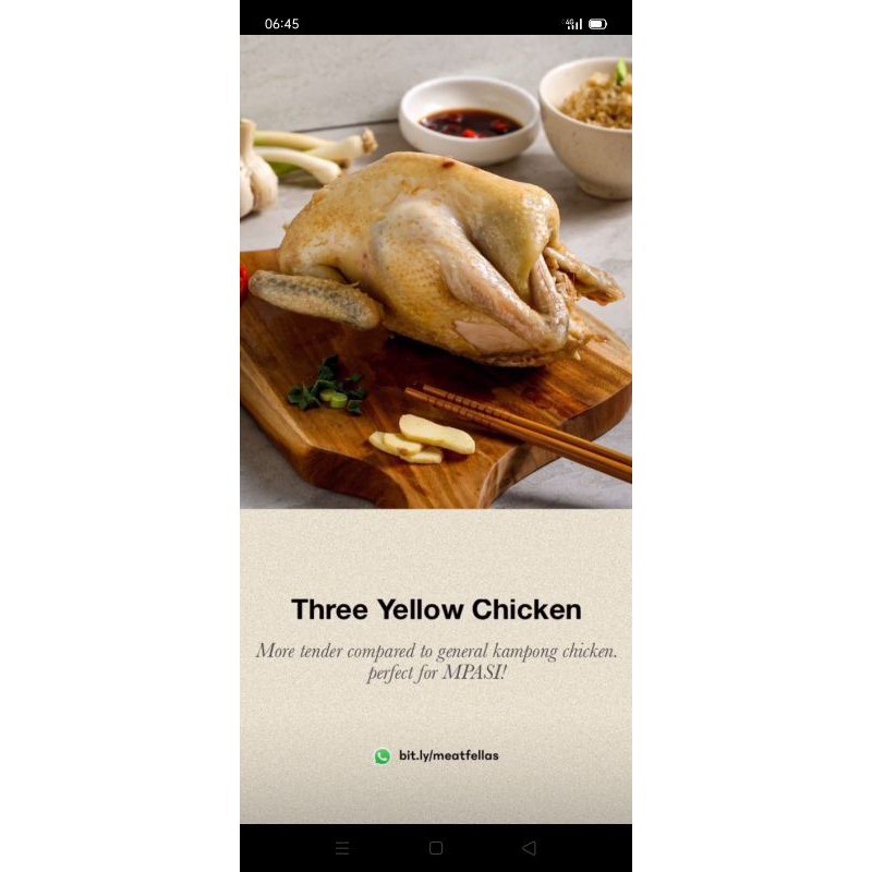 

Ayam Kuning Three Yellow Chicken 1 ekor