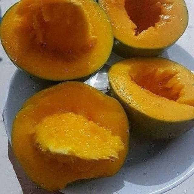 

Mangga alpukat