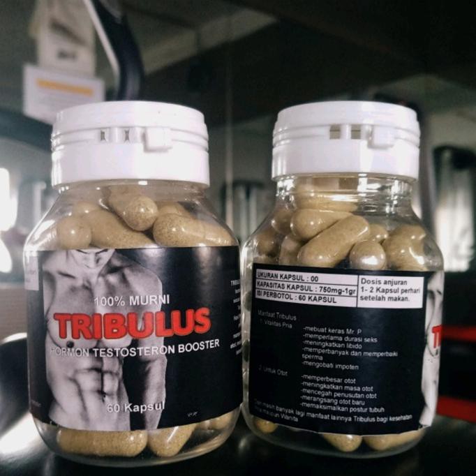 TRIBULUS TERRESTRIS KAPSUL