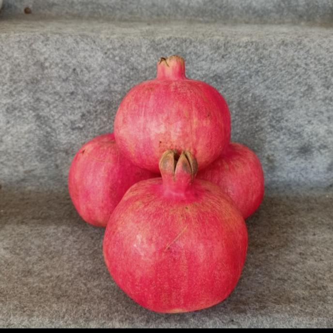 

langsung order saja] BUAH DELIMA / POMEGRANATE FRUITS / ANAAR FRESH / RUMAAN +- 500 gr