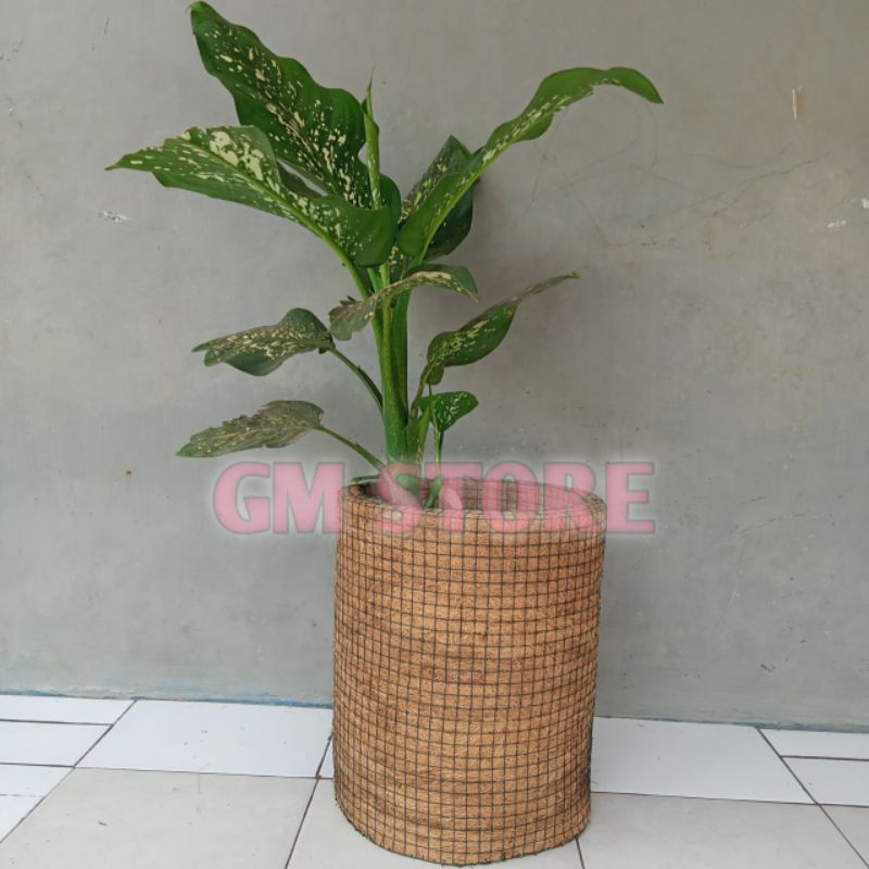 POT BUNGA SERABUT KELAPA JUMBO / GEDE / BESAR